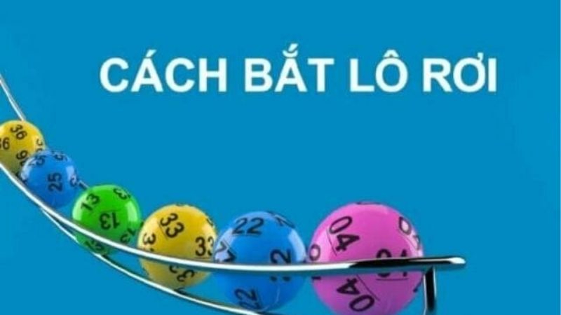 Học hỏi cách bắt lô rơi từ cao thủ Kubet