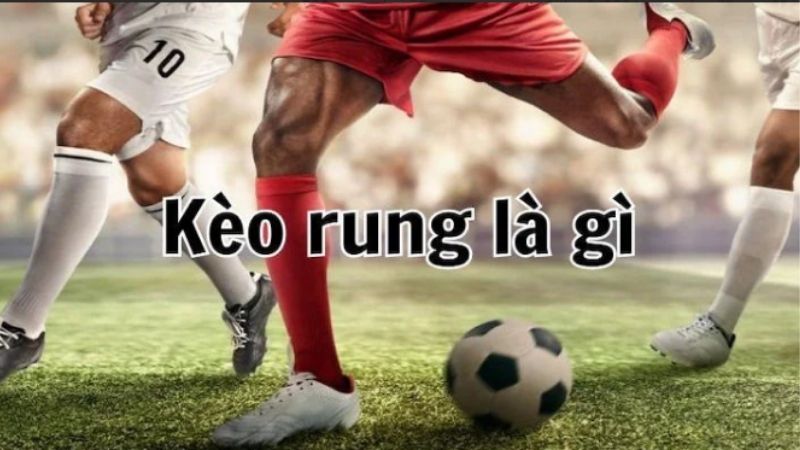 Đặt cược kèo rung tại nhà cái cá cược bóng đá Kubet11